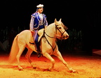 DI026sw